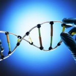 Banca dati del DNA: tra esigenze pubbliche di sicurezza e tutela dei diritti del singolo