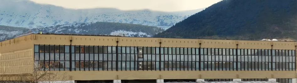 Spunti sulla responsabilità dell’amministratore testa di legno. La necessaria analisi dell’elemento volitivo quale discrimine tra mera colpa e dolo (anche eventuale). 1_0