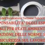 La responsabilità degli esponenti aziendali per reati ambientali e in violazione delle norme sulla sicurezza sul lavoro (Torino, 20 marzo 2025) Torino